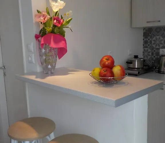 Apartment City Center Studio